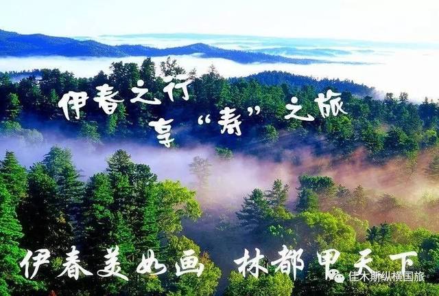 {線上賭場}(伊春旅游景点大全图片)