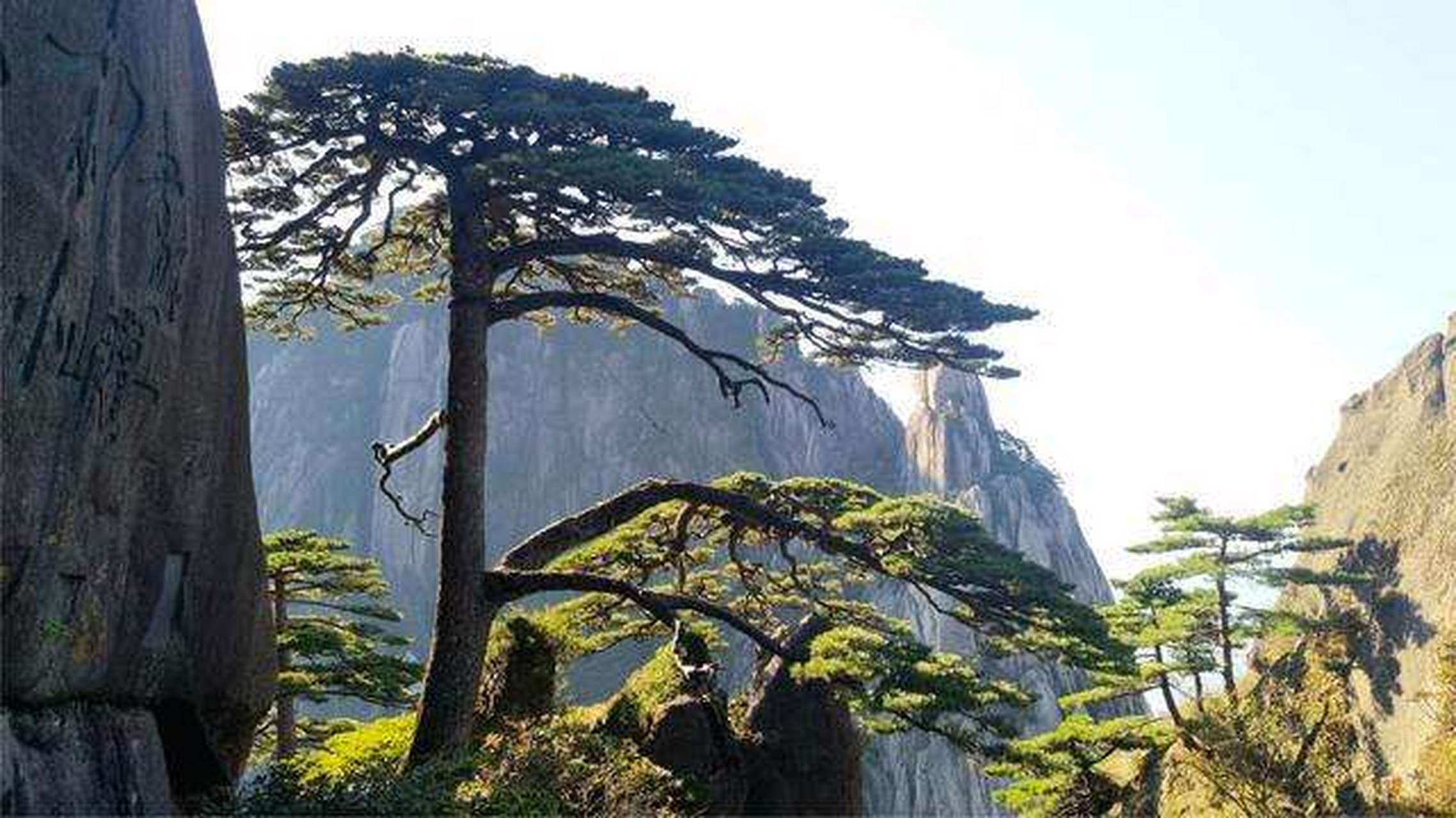 {六合彩}(黄山风景区电话联系方式)