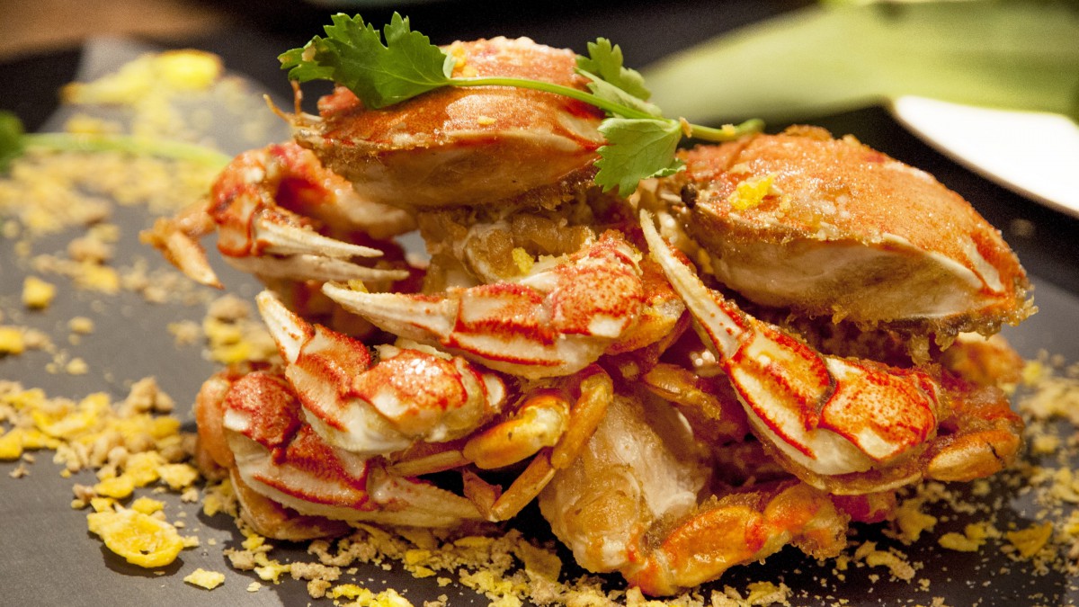 {賭馬}(美食高清图片无水印)